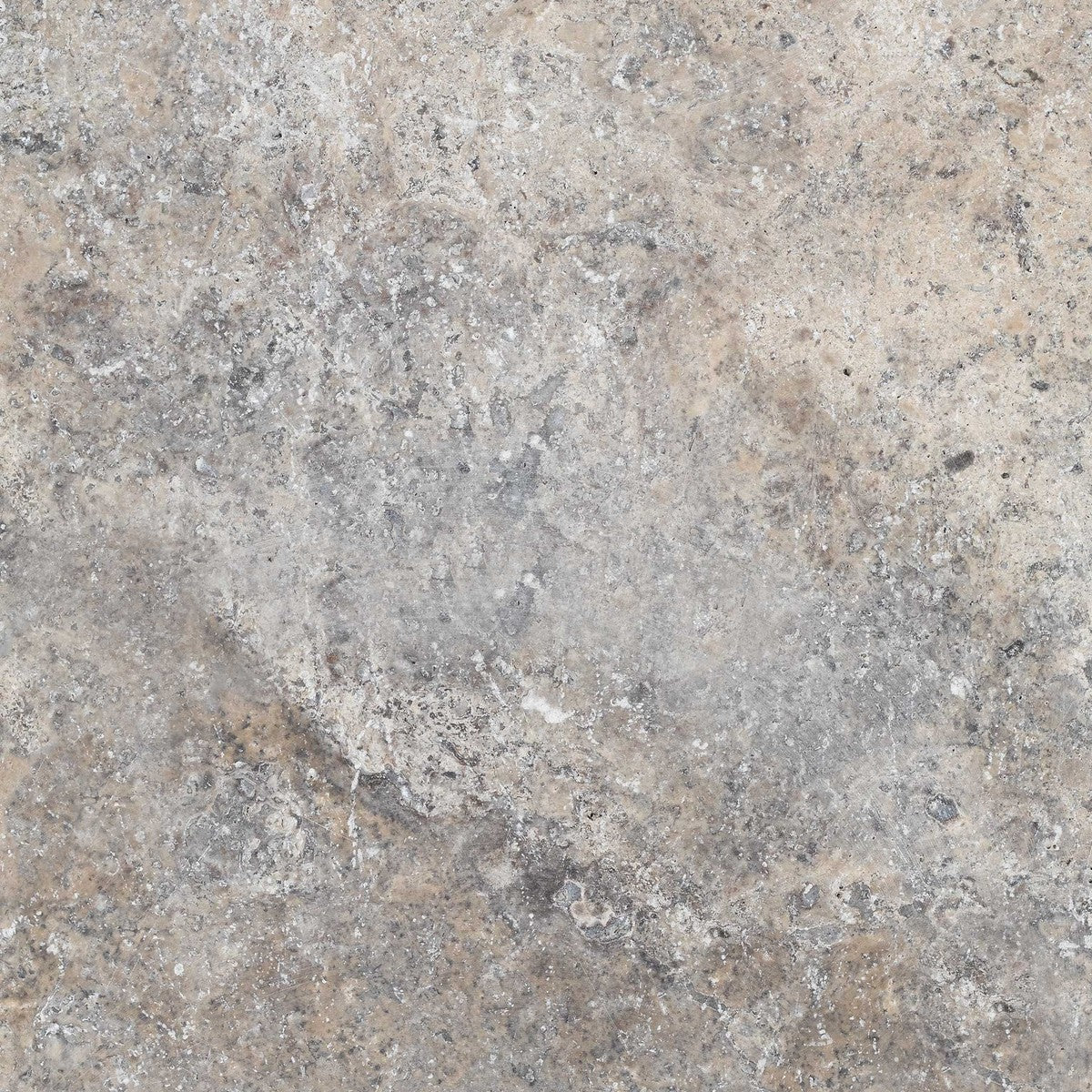 Silver Premium Pavers