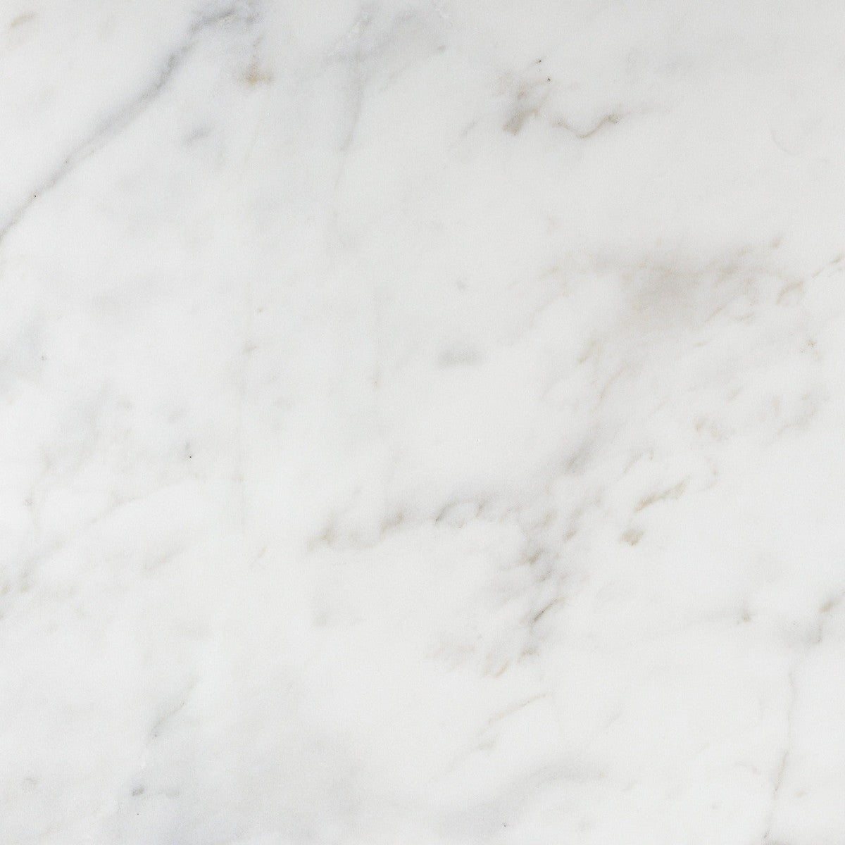Calacatta Caldia Field Tile