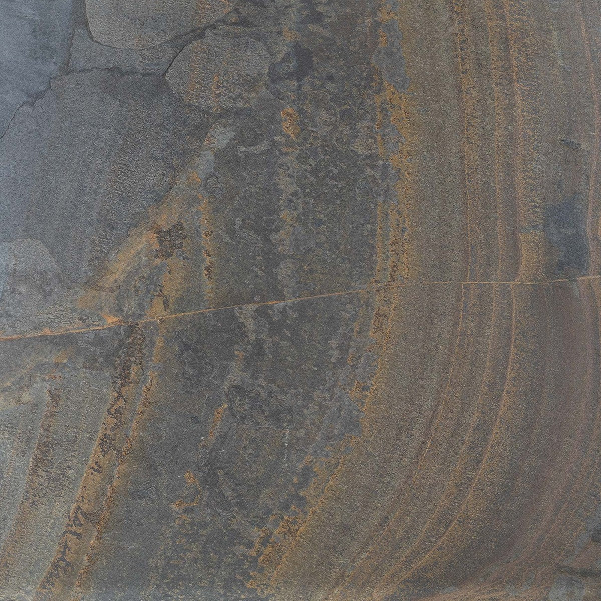 California Gold Field Tile