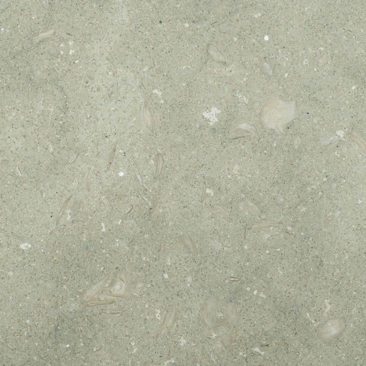 Seagrass Field Tile
