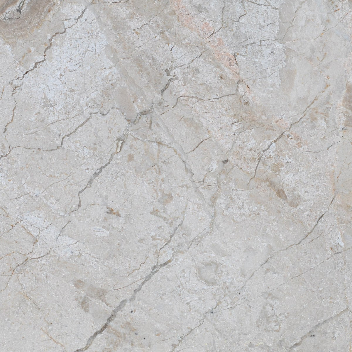 Diano Reale Field Tile