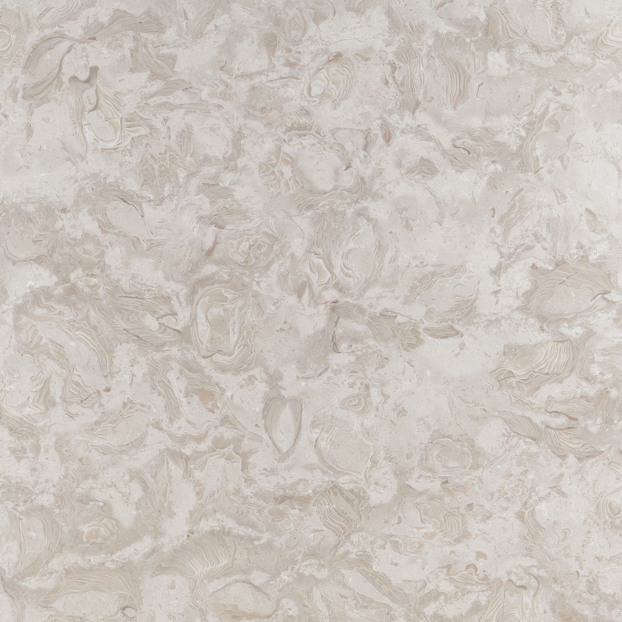 Ocean Reef Shellstone Limestone Tile