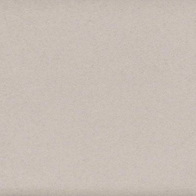 Pristine Elegance Ashen Elegance