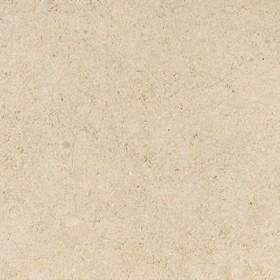 Seashell Limestone Tile tile and surface collection
