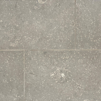 Fossil Star Grey Limestone Tile tile and surface collection