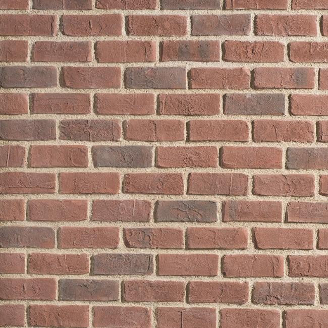 Creative Mines Cannery Brick Peppered Stone Veneer stone veneer by Creative Mines