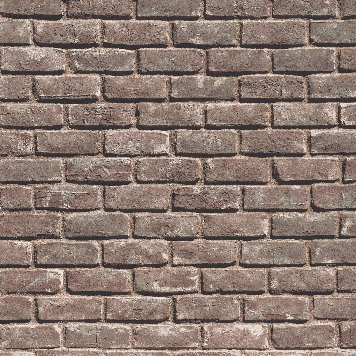 Creative Mines Cannery Brick Plumwood Stone Veneer stone veneer by Creative Mines