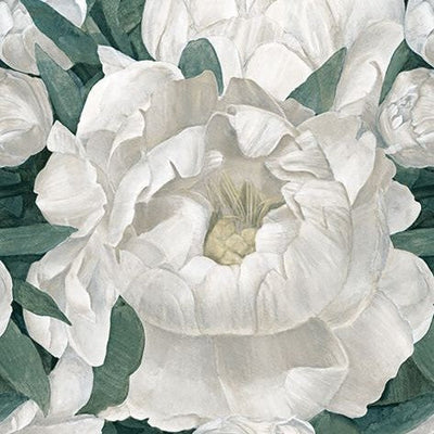 Peonia – porcelain-tile collection