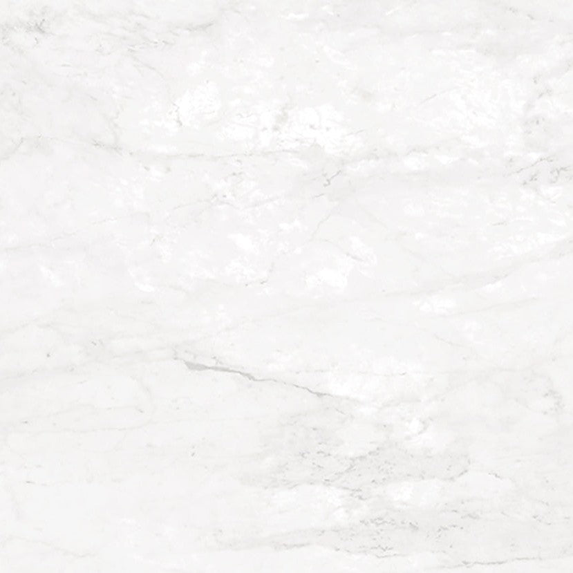 Ergon Slabs USA Statuarietto Porcelain Tile