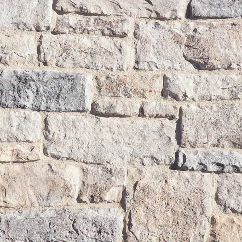 Limestone tile and surface collection