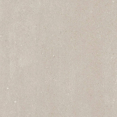 Urban Echoes Verdant Veil