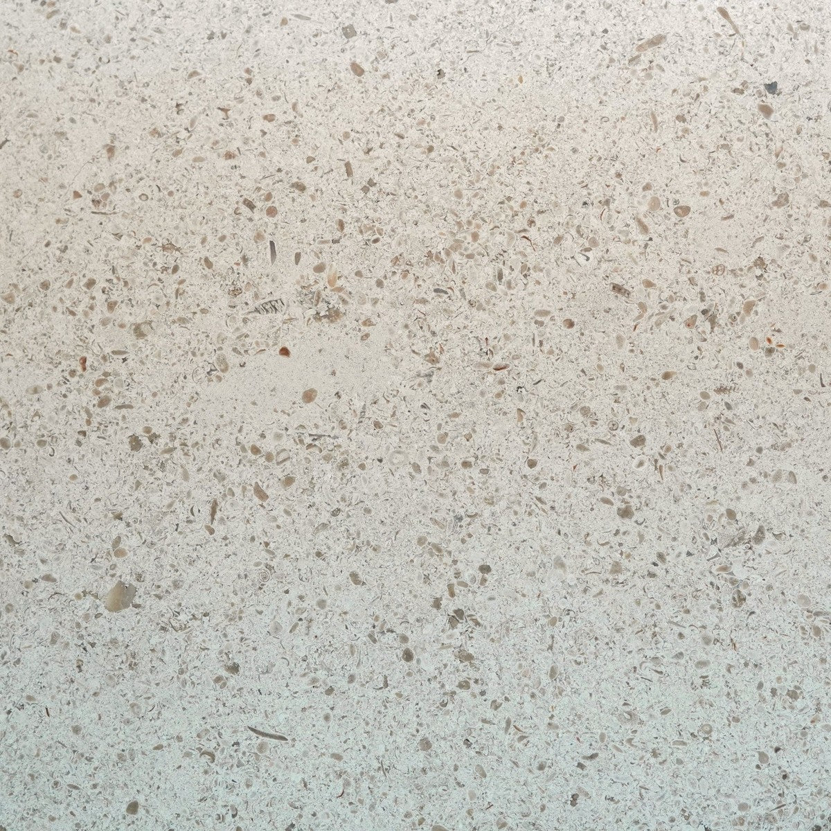Gascogne Beige