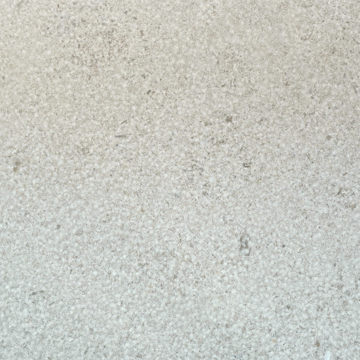 Moca Fossil