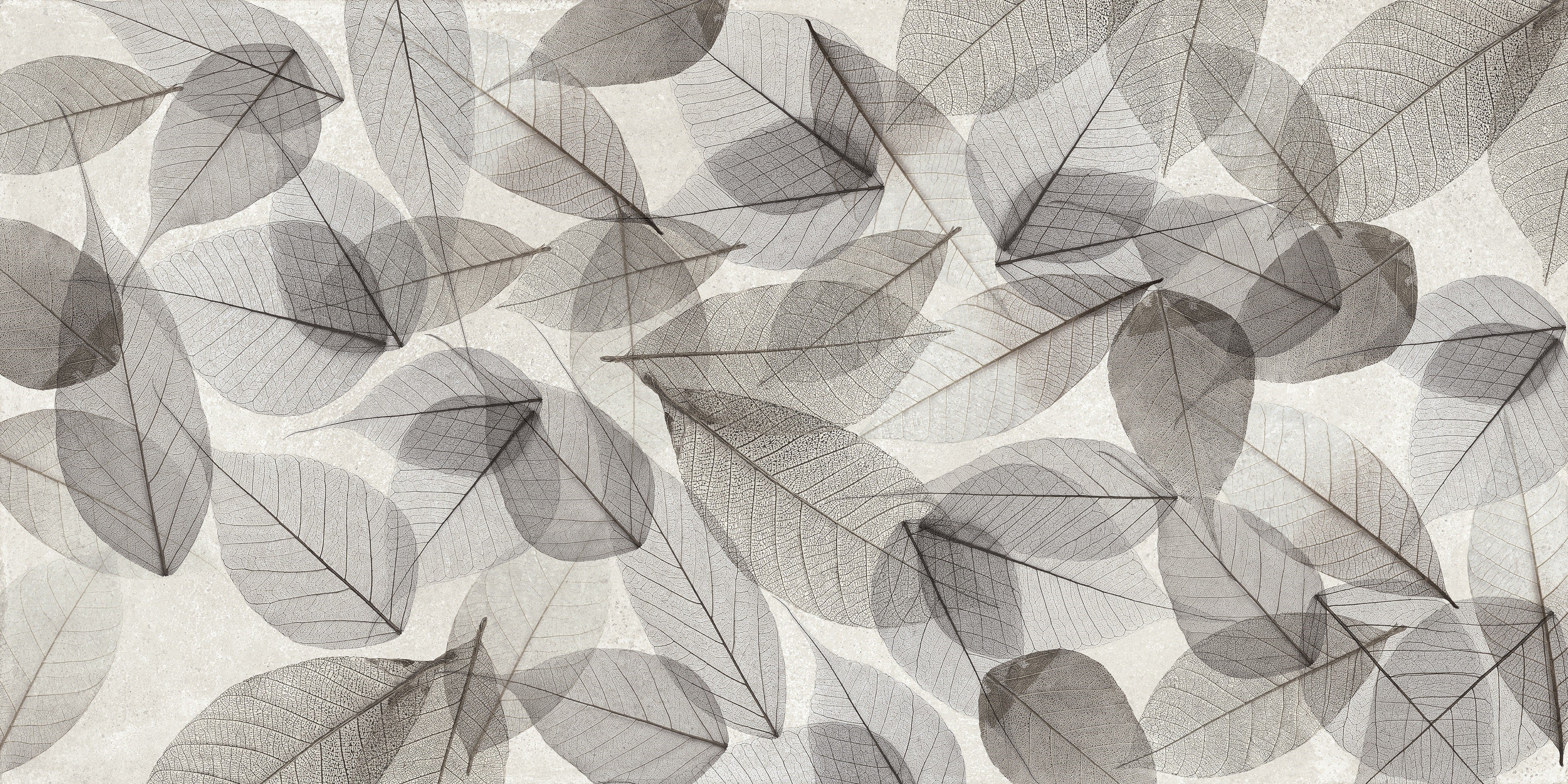 Deco Xl Autumn Leaf porcelain field tile, top-down product view, 24"×48"×11/32" size. Premium porcelain for floors and walls.