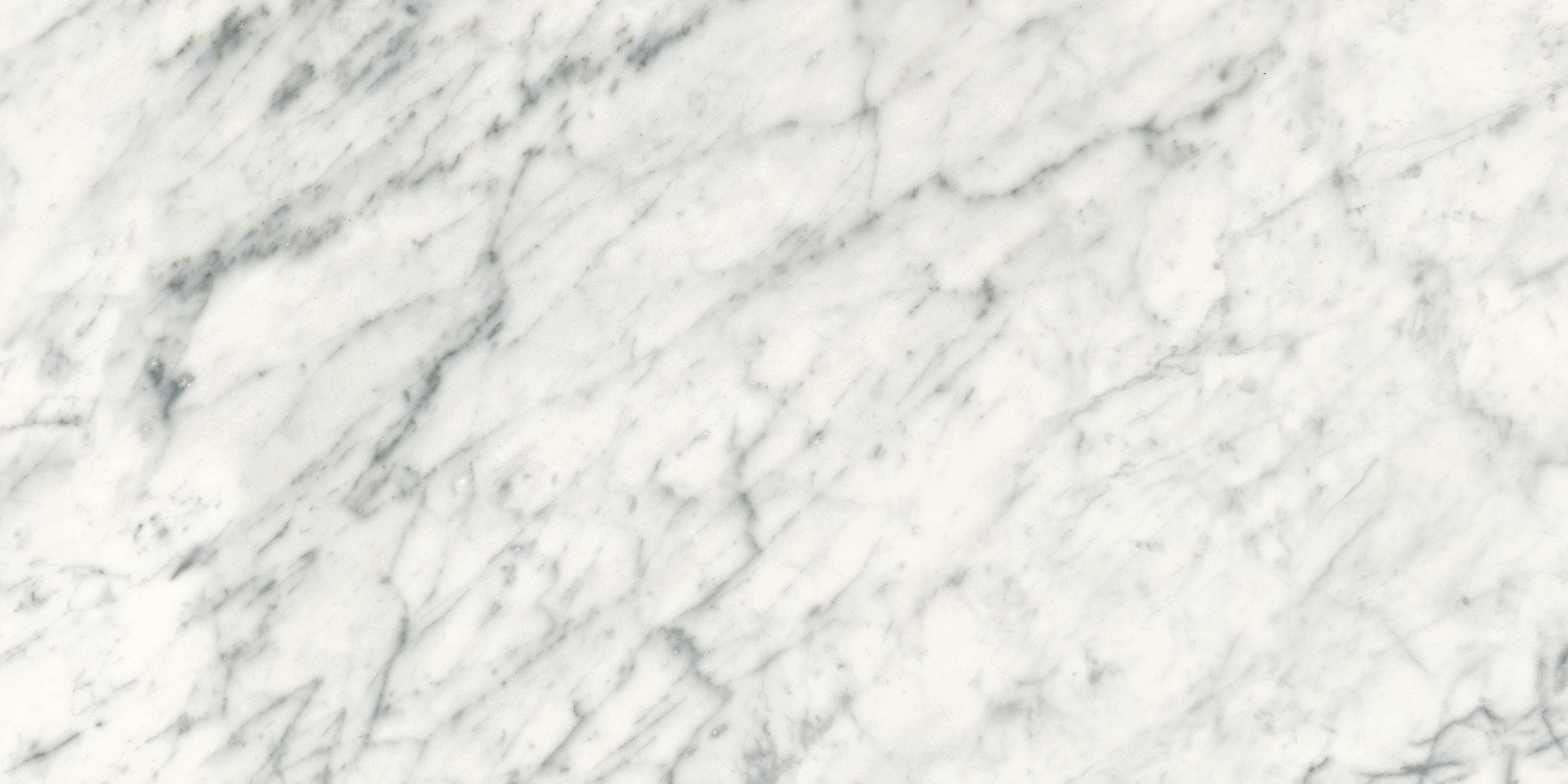 CHARME EVO Michelangelo Extra White porcelain field tile, top-down product view, 12"×24"×11/32" size. Premium porcelain for floors and walls.