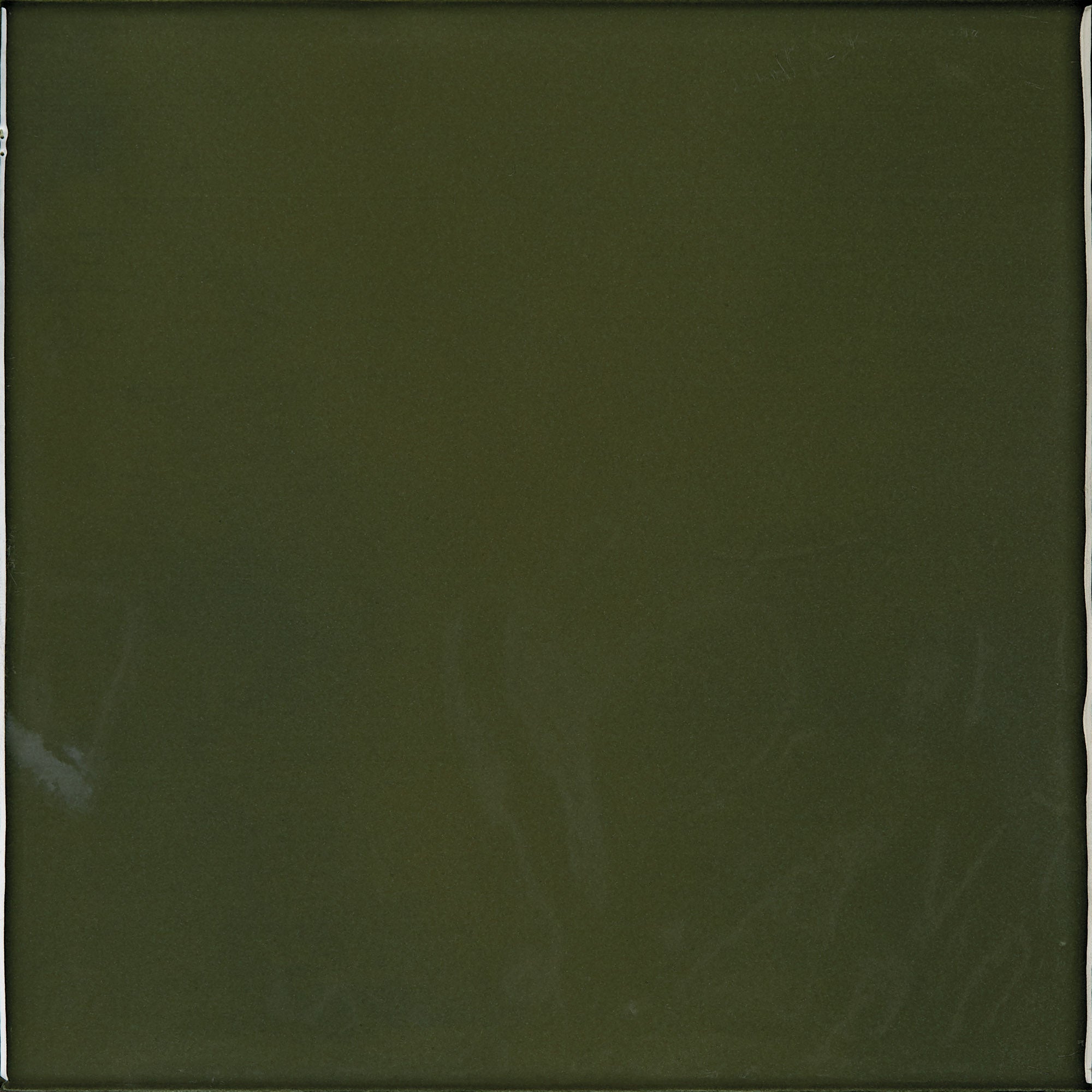 CHROMATIC SYMPHONY: Forest Fresco Field Tile (6"x6"x9-mm | glossy | pressed)