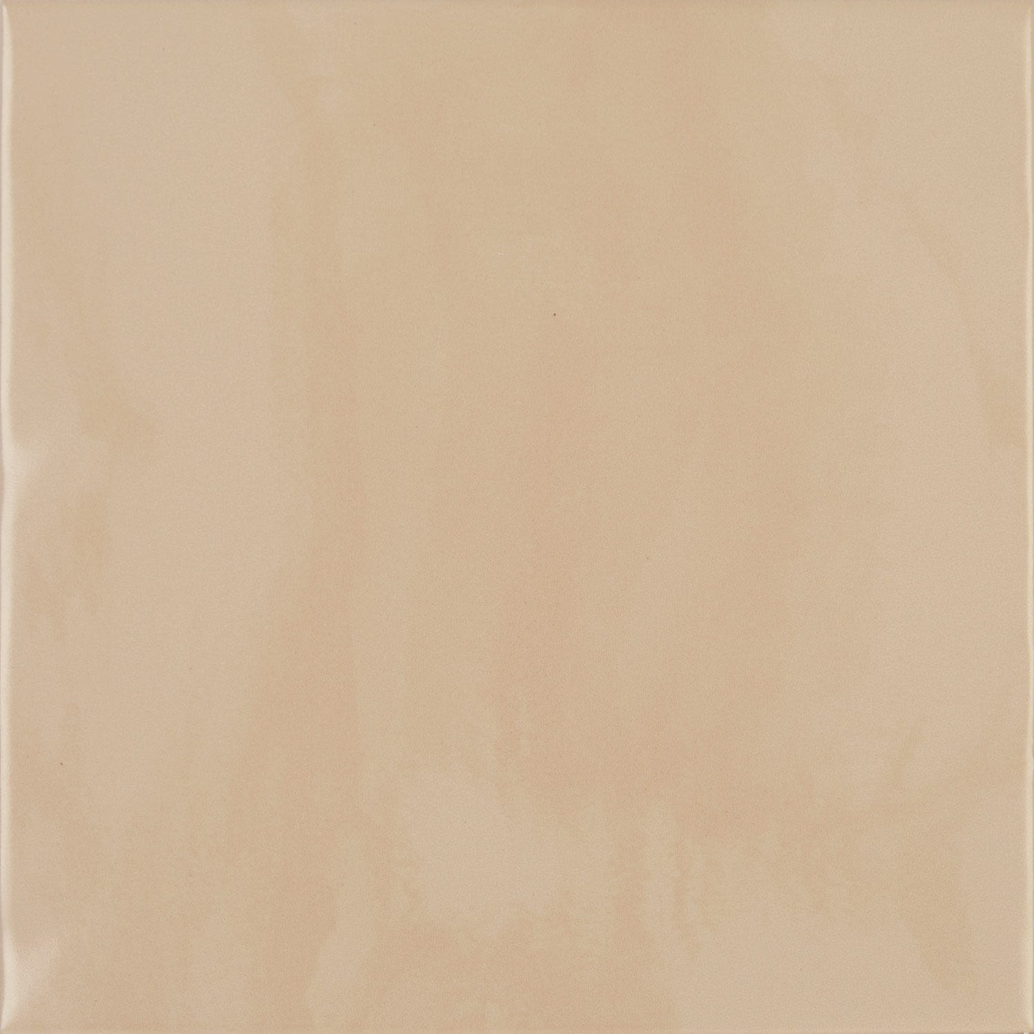 CHROMATIC SYMPHONY: Seedling Serenity Field Tile (6"x6"x9-mm | matte | pressed)