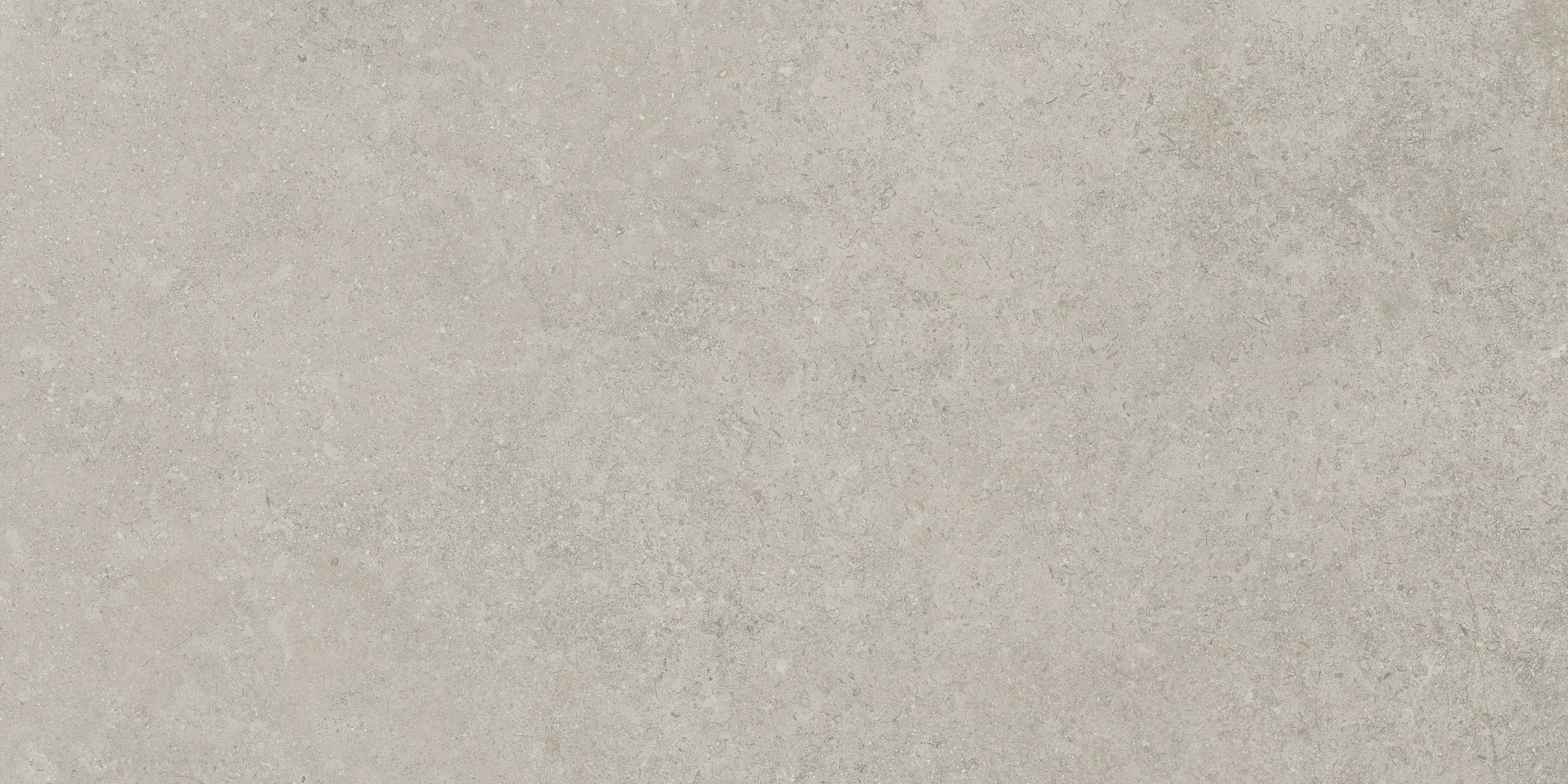 Mood Ash porcelain pavers, top-down product view, 24"×48"×11/32" size. Premium porcelain for floors and walls.