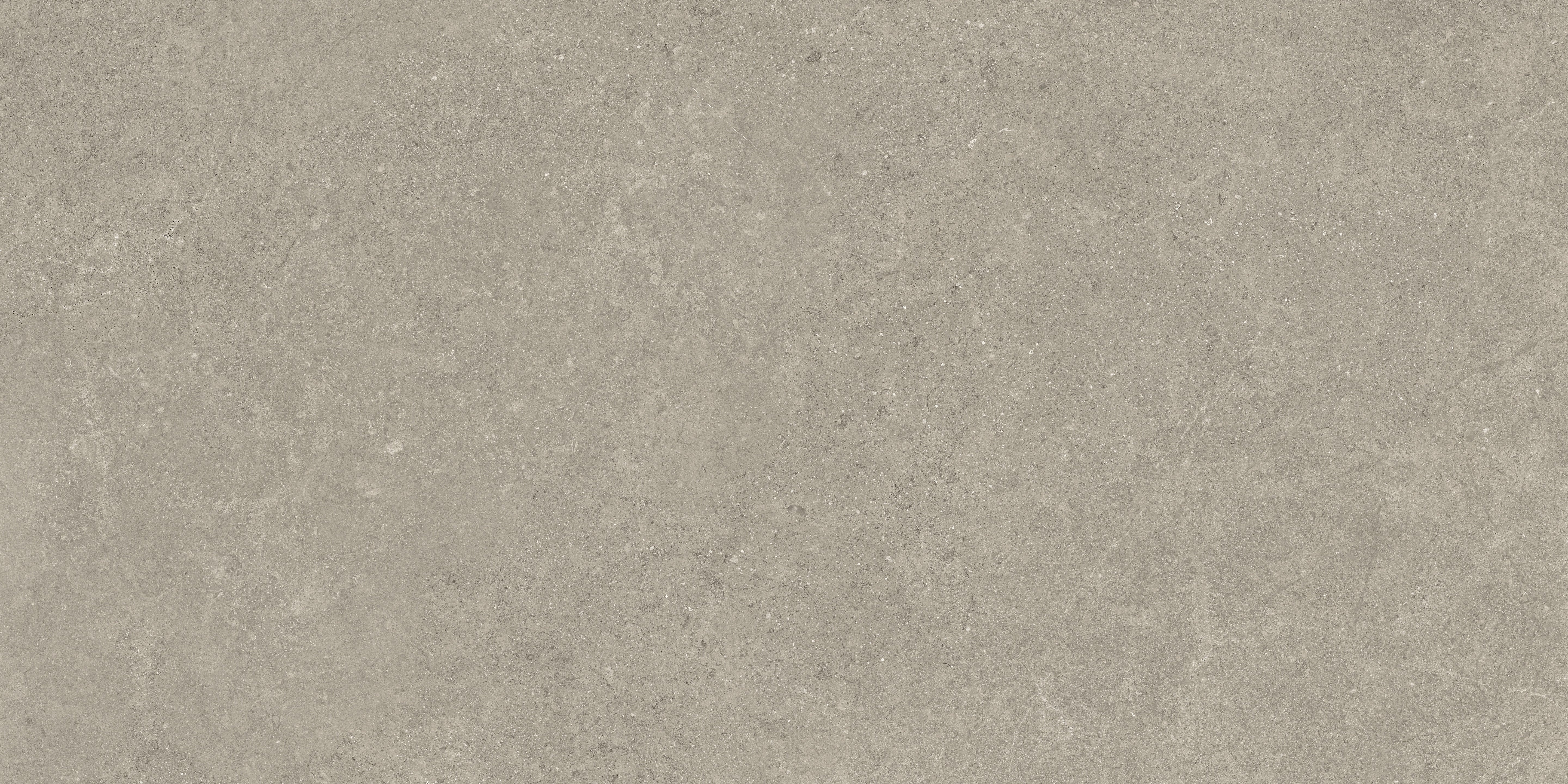 Mood Taupe porcelain field tile, top-down product view, 12"×24"×11/32" size. Premium porcelain for floors and walls.