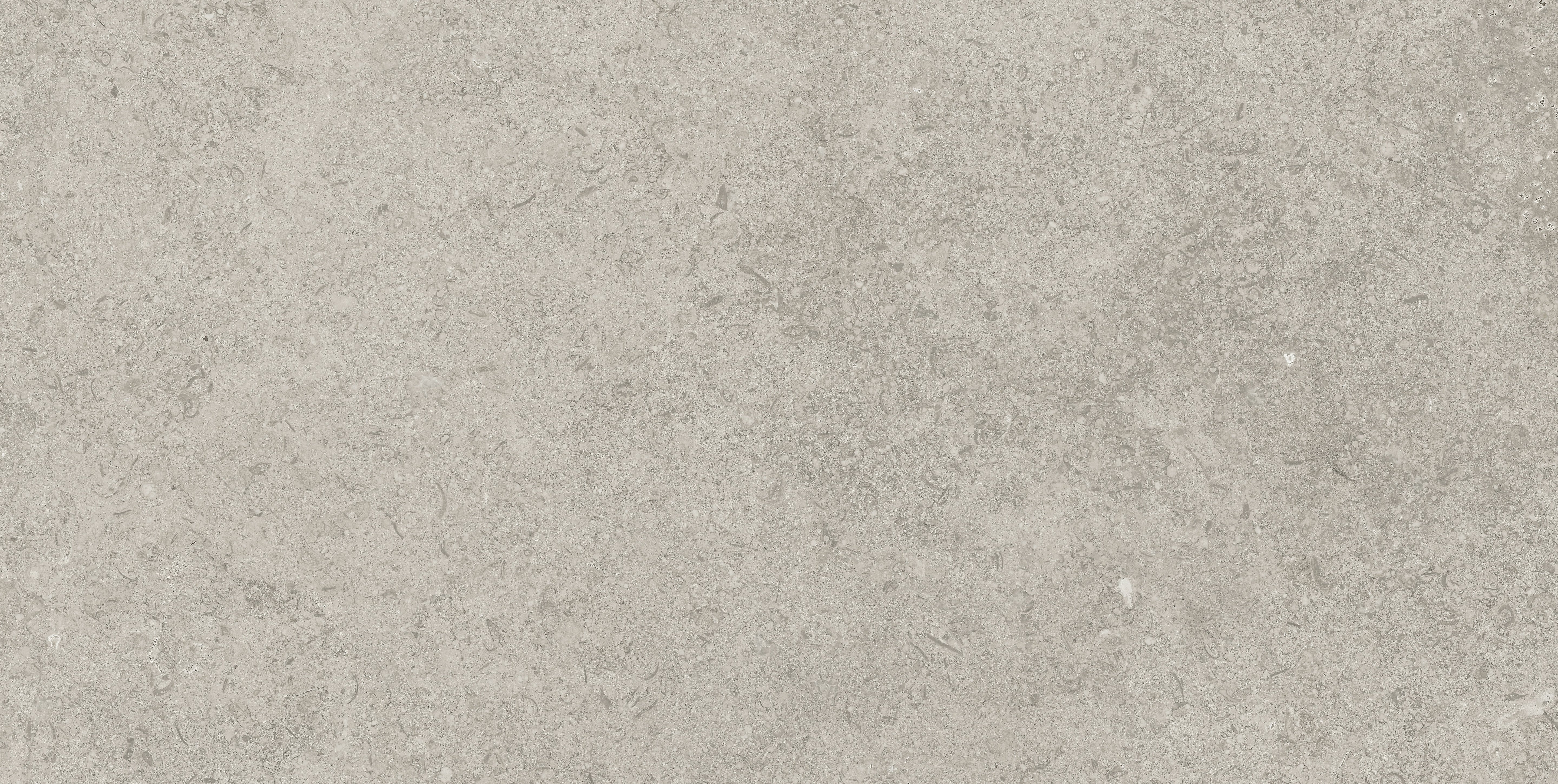 Mood Ash porcelain field tile, top-down product view, 12"×24"×11/32" size. Premium porcelain for floors and walls.