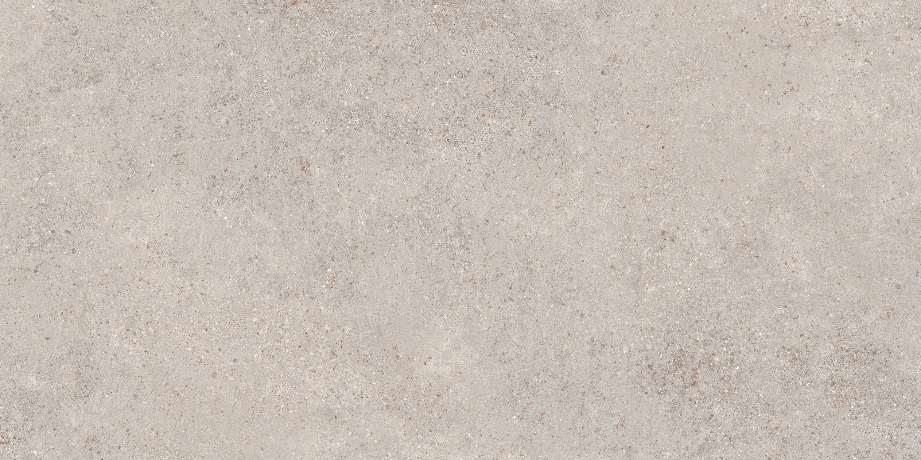 Berlin Grey porcelain field tile, top-down product view, 24"×48"×5/16" size. Premium porcelain for floors and walls.