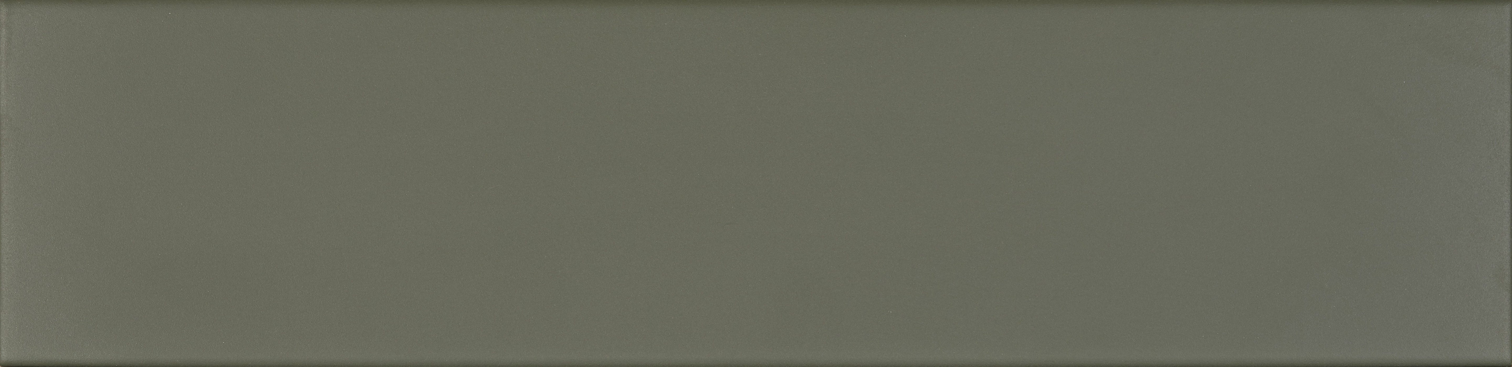 EARTHLY IMPRESSIONS: Cactus Whisper Field Tile (3"x14"x8-mm | matte | pressed)