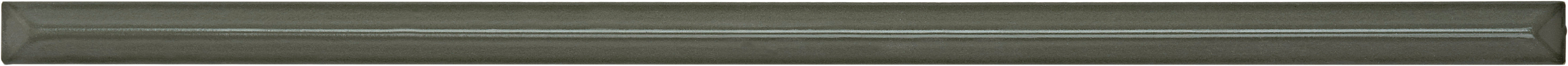 EARTHLY IMPRESSIONS: Cactus Whisper Liner Trim (3/5"x14"x15-mm | glossy | pressed)