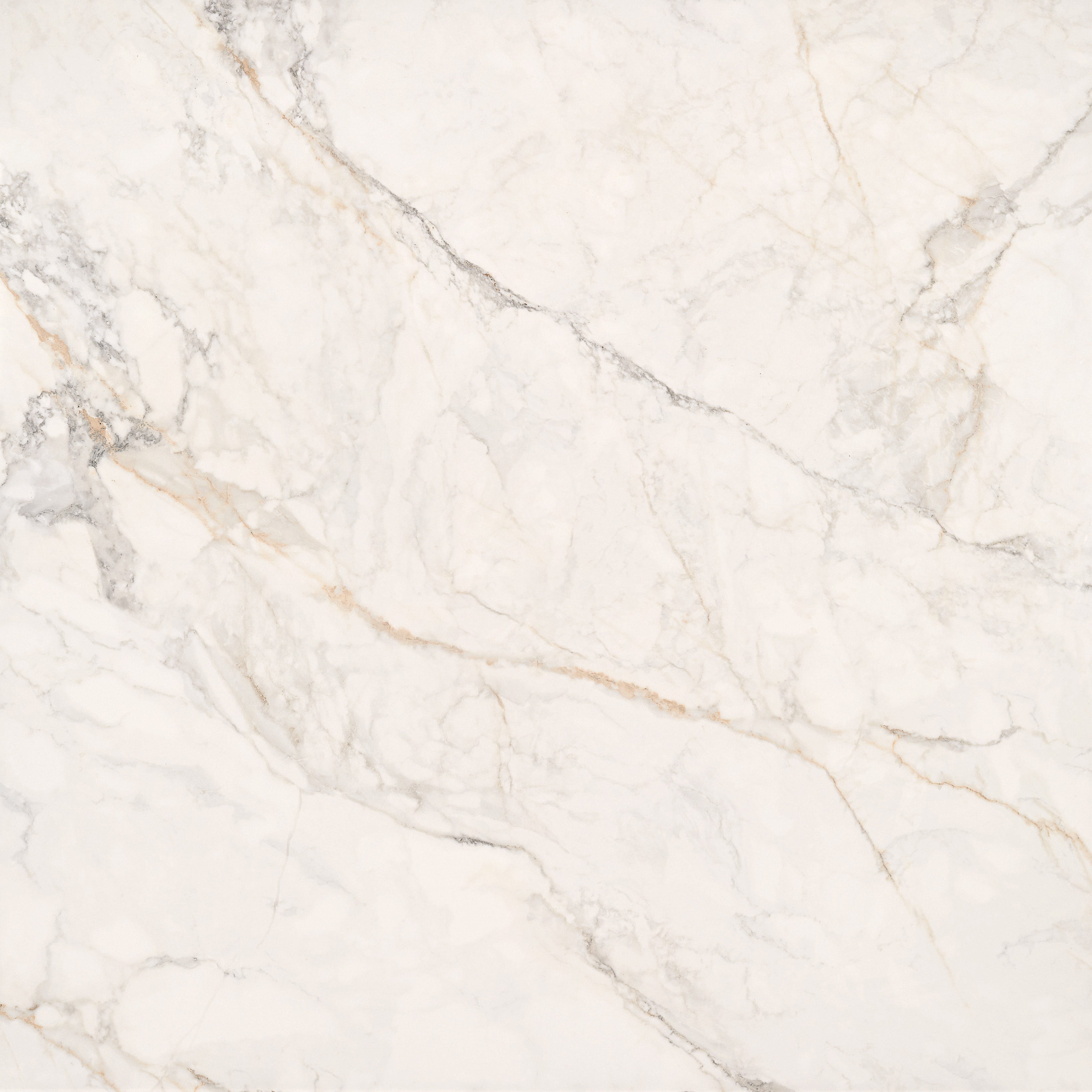 GOLDEN APUAN: Apuan Sunrise Field Tile (48"x48"x7-mm | natural | rectified)