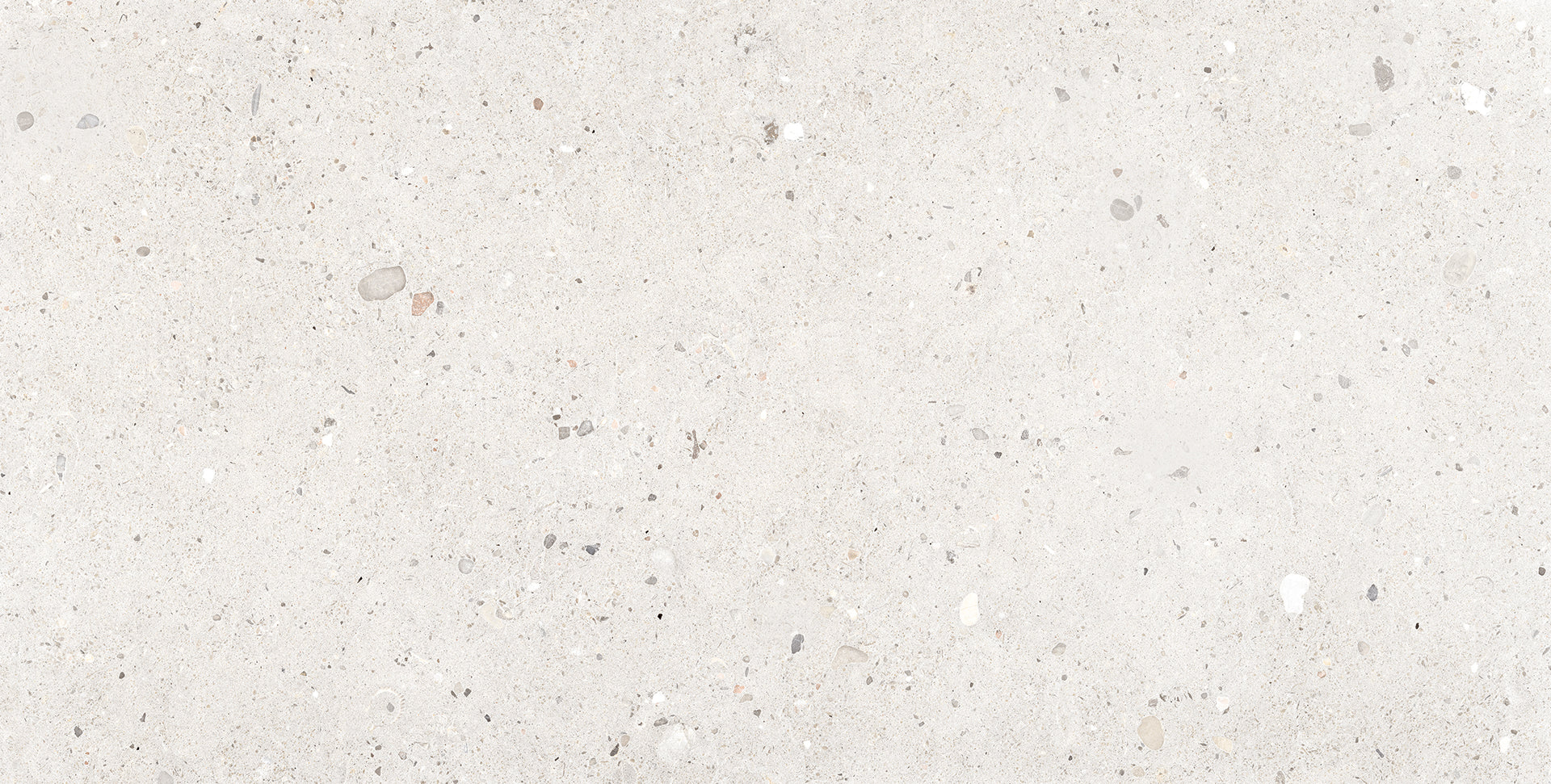 Ego Avorio porcelain field tile by Emil, tecnica finish, 23 5/8"x47 1/4"x9.5-mm size. Premium Italian porcelain for floors and walls.