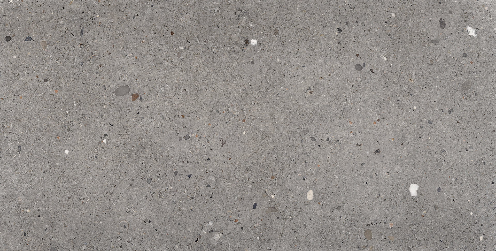 Ego Grigio Scuro porcelain field tile by Emil, tecnica finish, 23 5/8"x47 1/4"x9.5-mm size. Premium Italian porcelain for floors and walls.