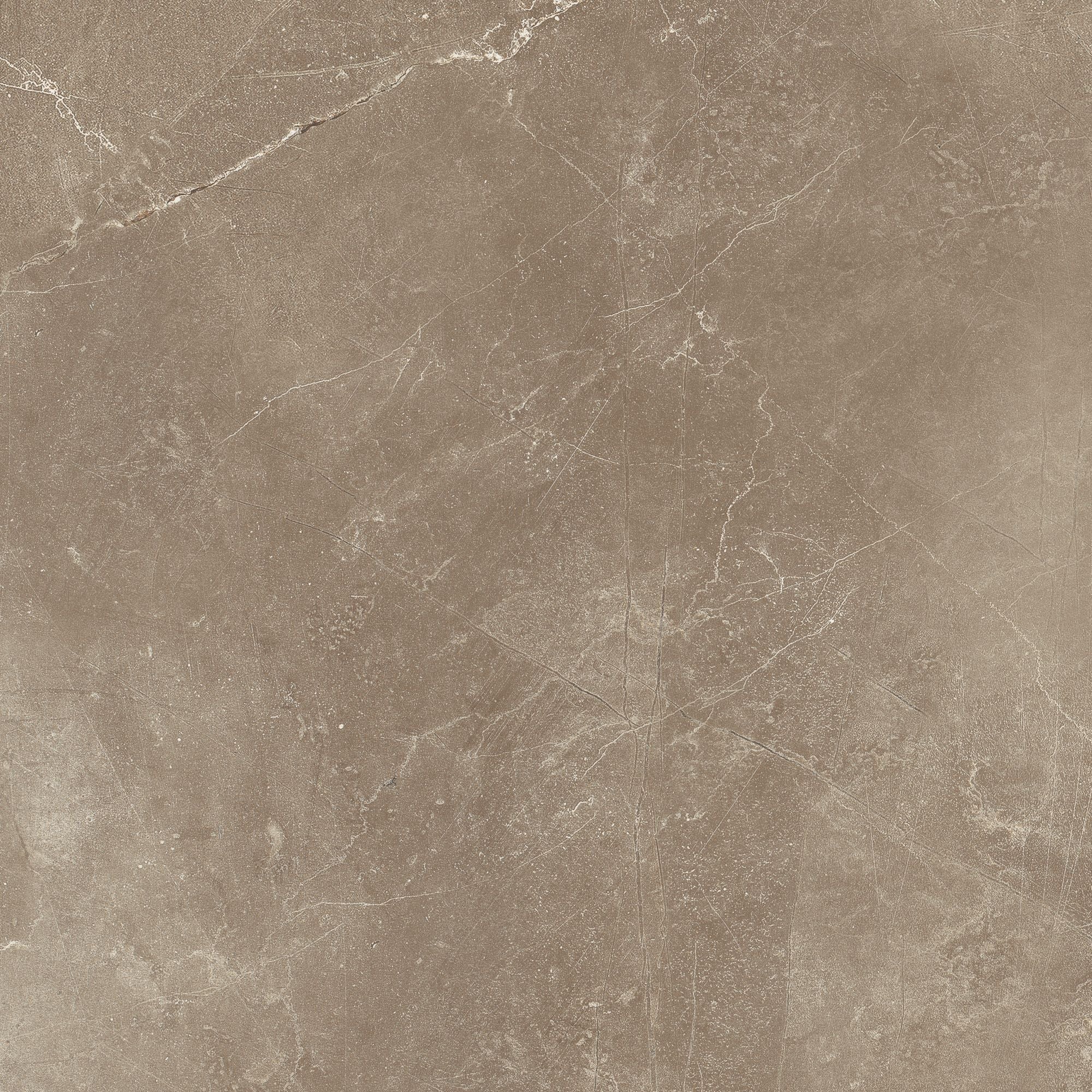 Classic field tile by Anatolia Tile, top-down product view, 12" size. Premium porcelain for floors and walls.