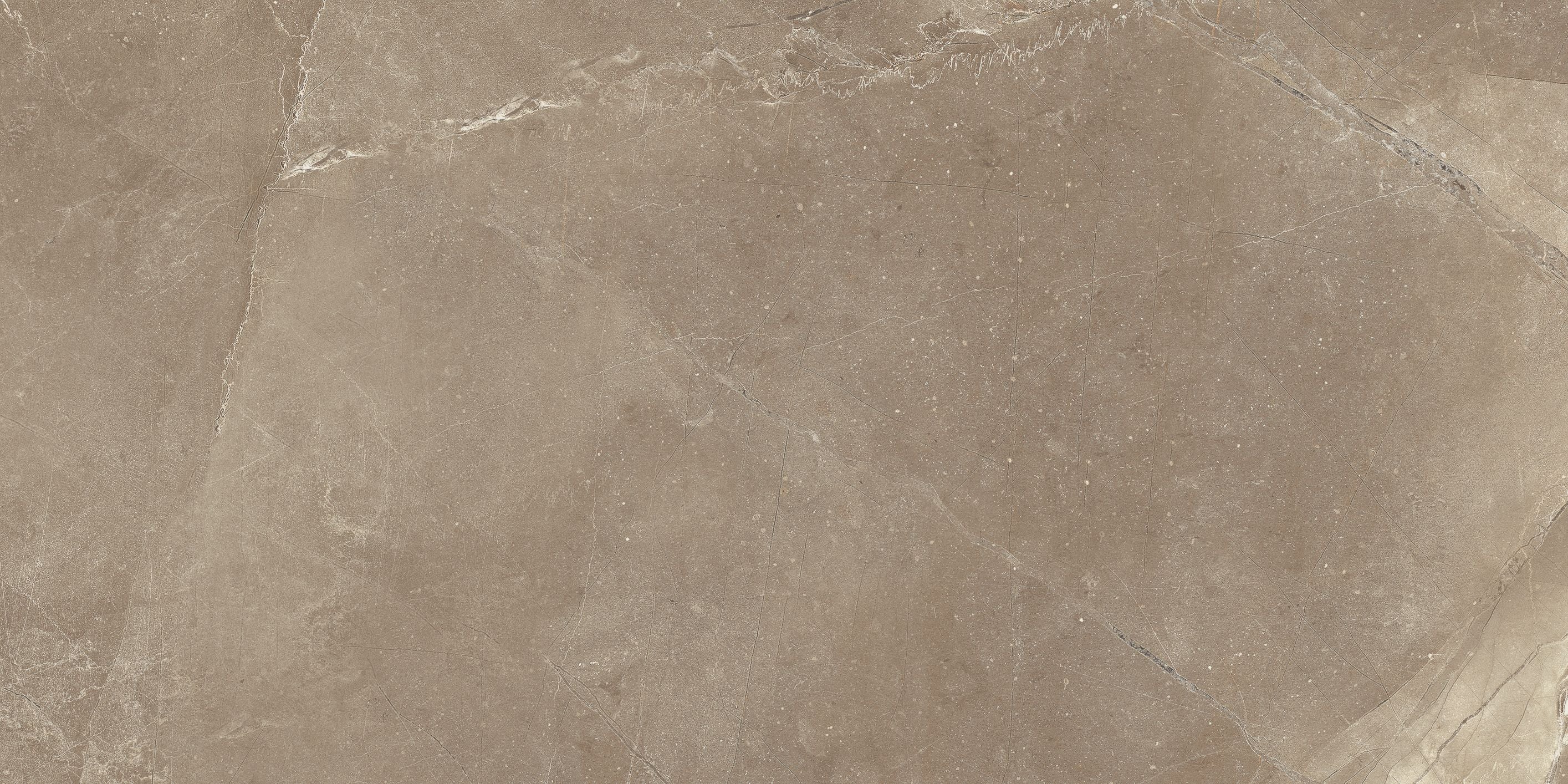 Classic field tile by Anatolia Tile, top-down product view, 12"×24" size. Premium porcelain for floors and walls.