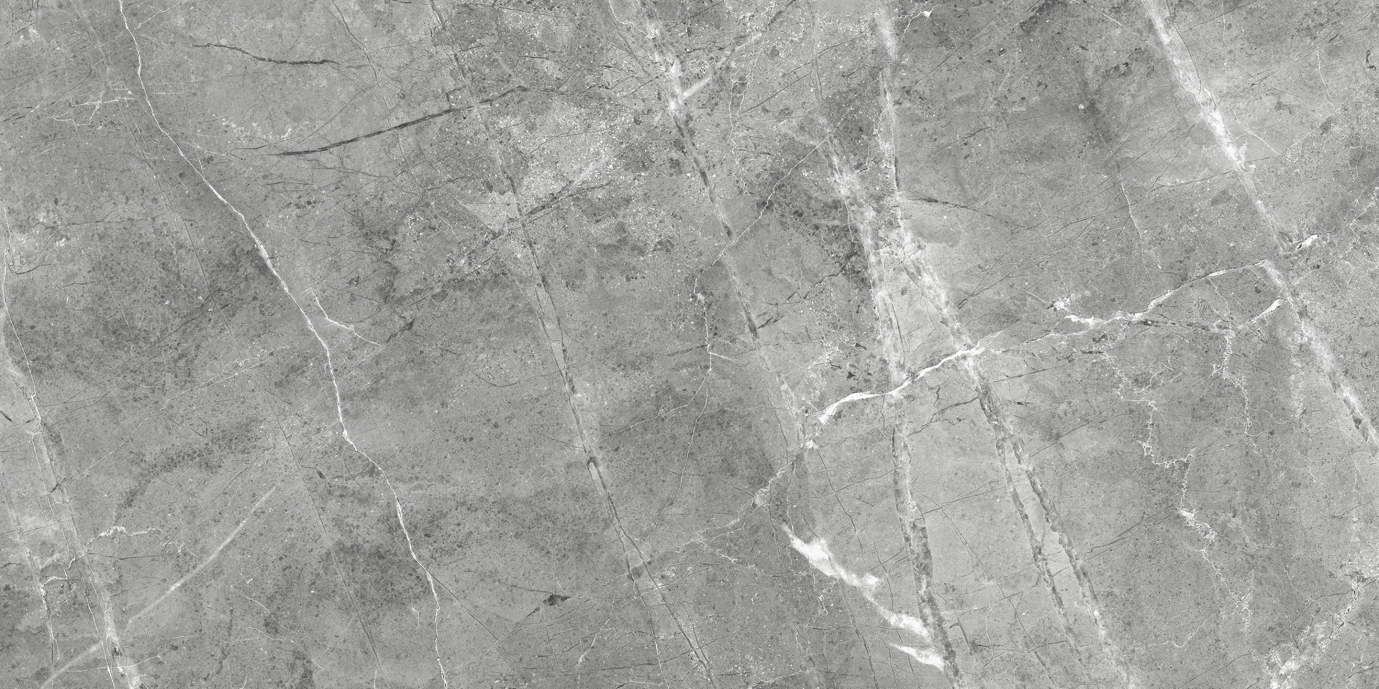 Regency field tile by Anatolia Tile, top-down product view, 10"×20" size. Premium porcelain for floors and walls.