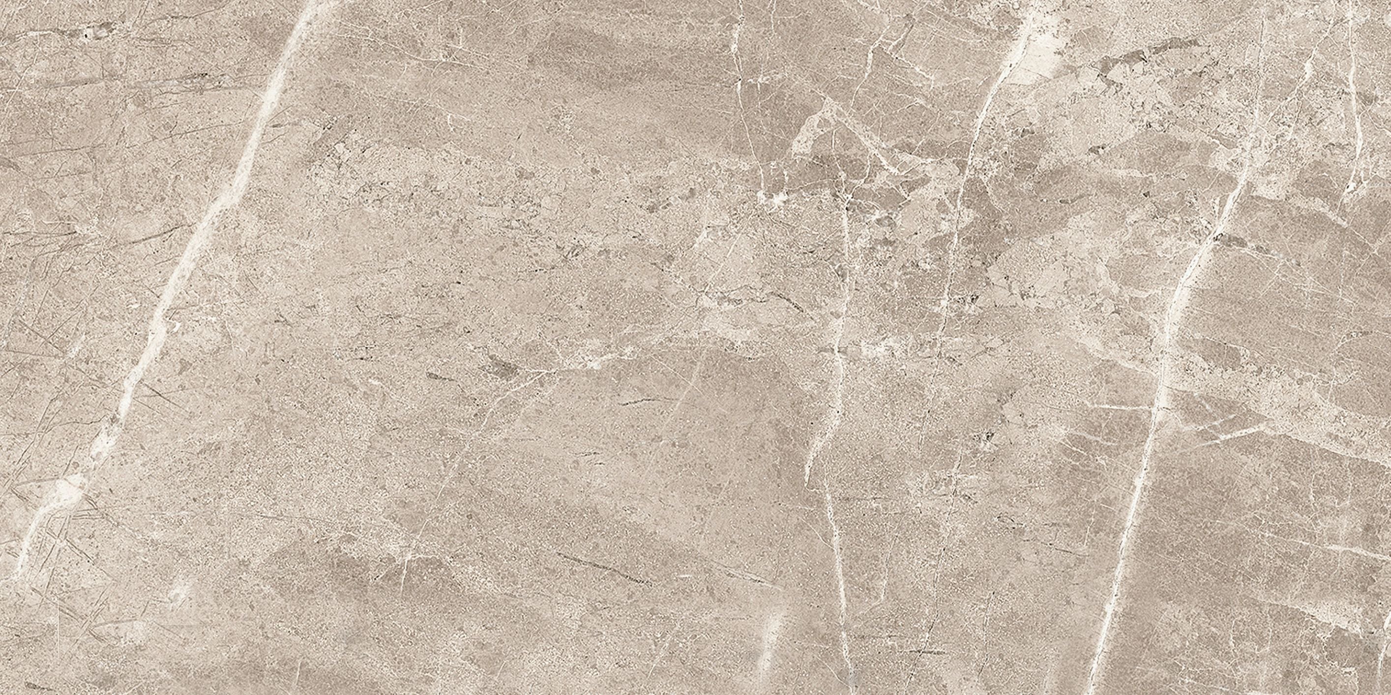 Regency field tile by Anatolia Tile, top-down product view, 10"×20" size. Premium porcelain for floors and walls.