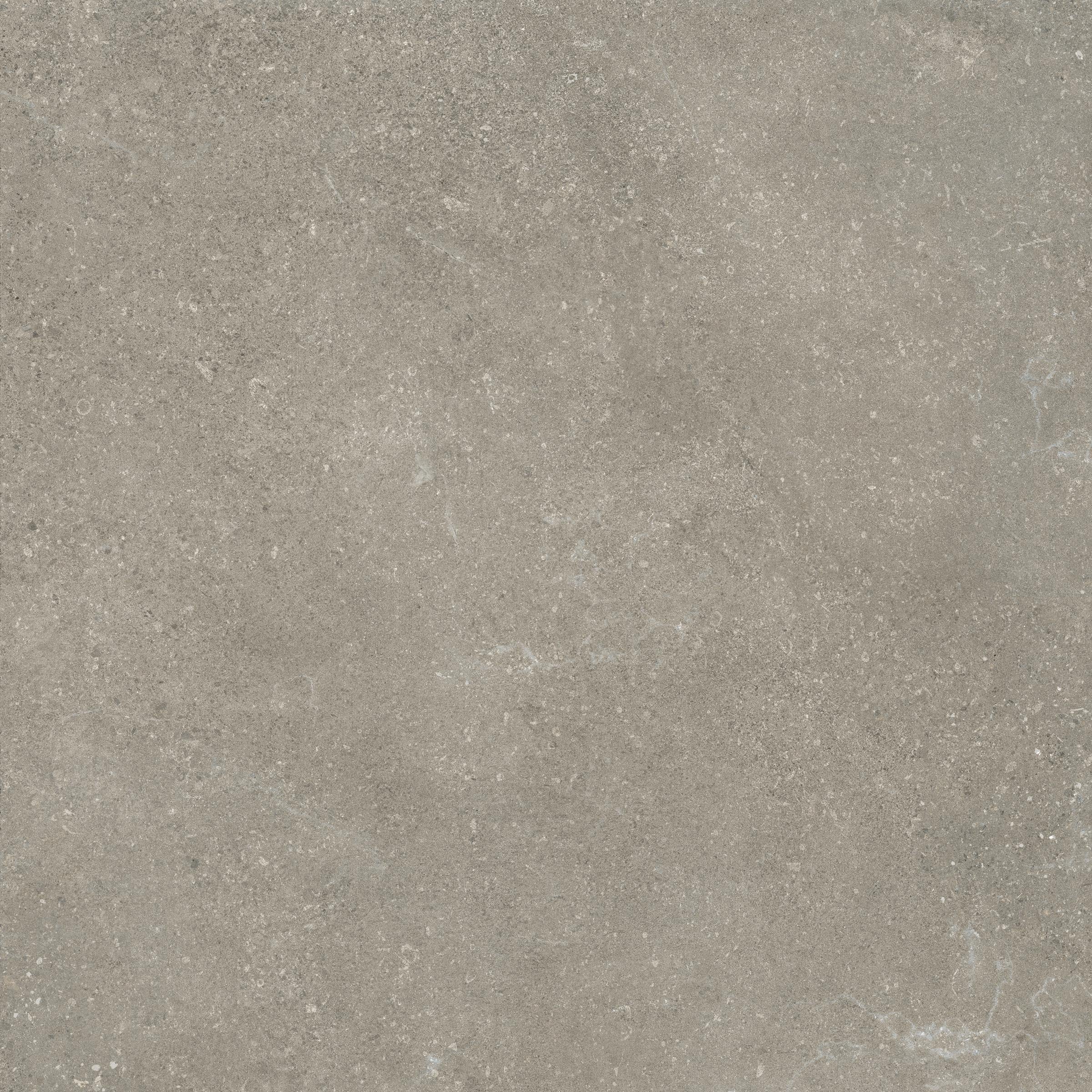 UNTAMED: Wander Ash Paving Tile (24"x24"x20-mm | grip)