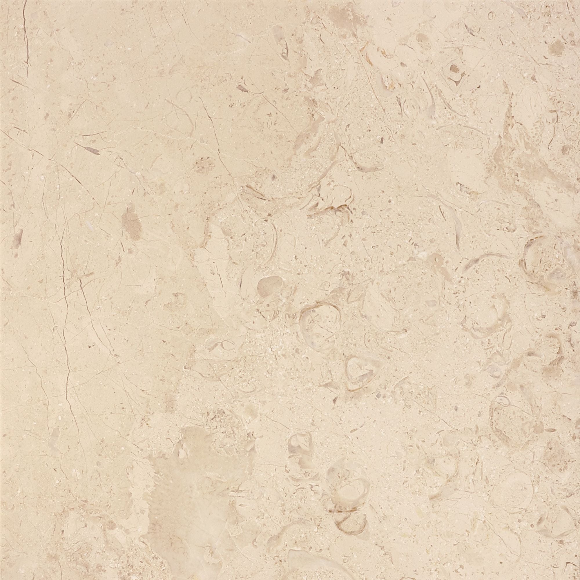 field tile by Anatolia Tile, top-down product view, 12" size. Premium porcelain for floors and walls.