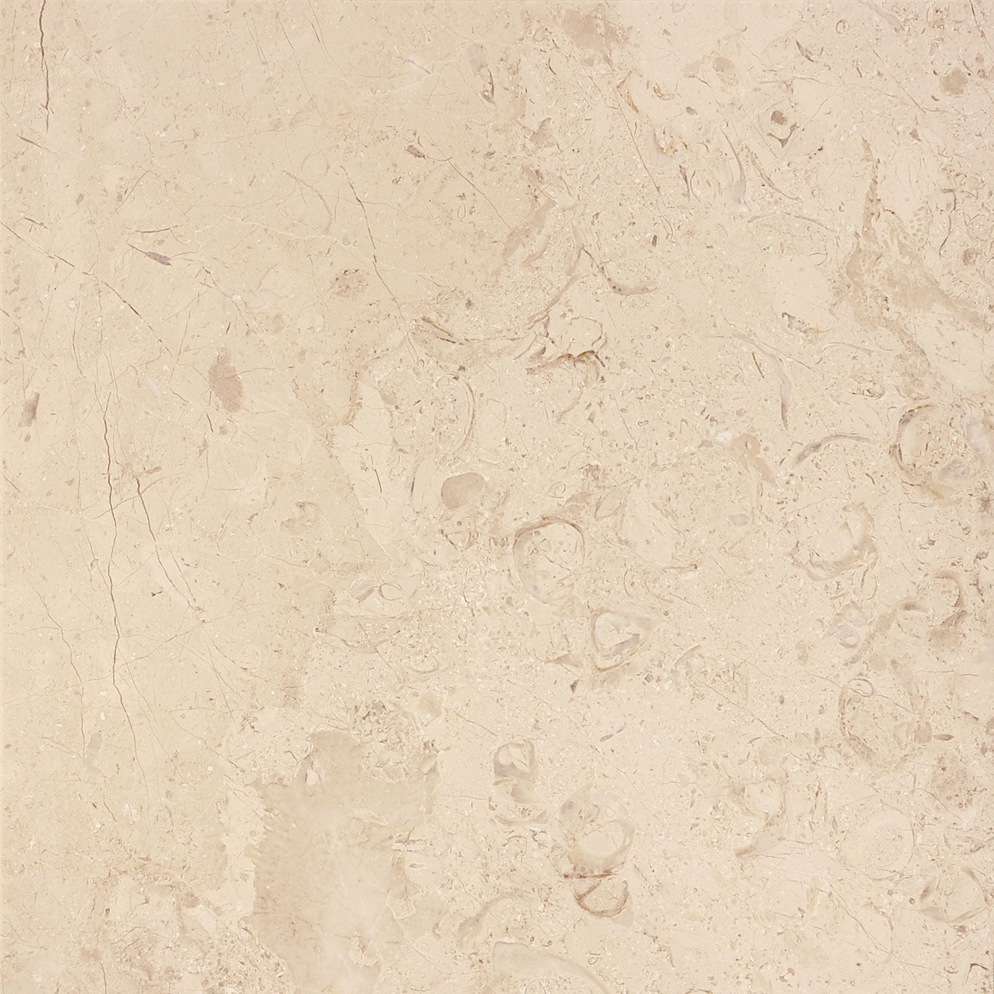 field tile by Anatolia Tile, top-down product view, 12" size. Premium porcelain for floors and walls.