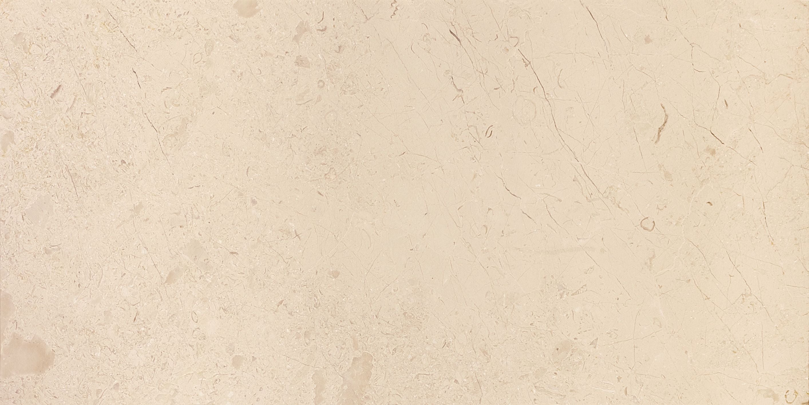 field tile by Anatolia Tile, top-down product view, 12"×24" size. Premium porcelain for floors and walls.