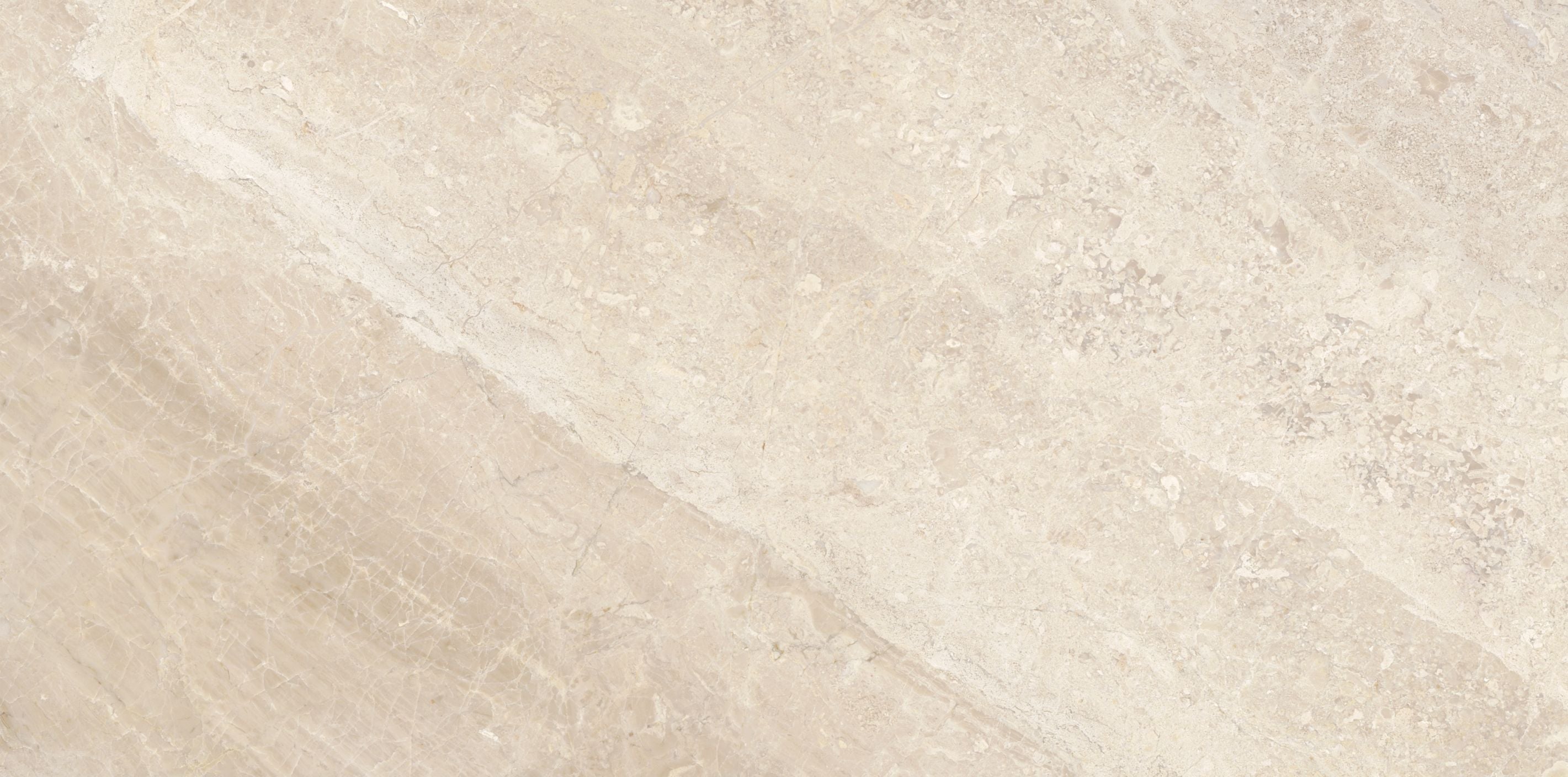 Impero Reale field tile by Anatolia Tile, top-down product view, 18"×36" size. Premium porcelain for floors and walls.