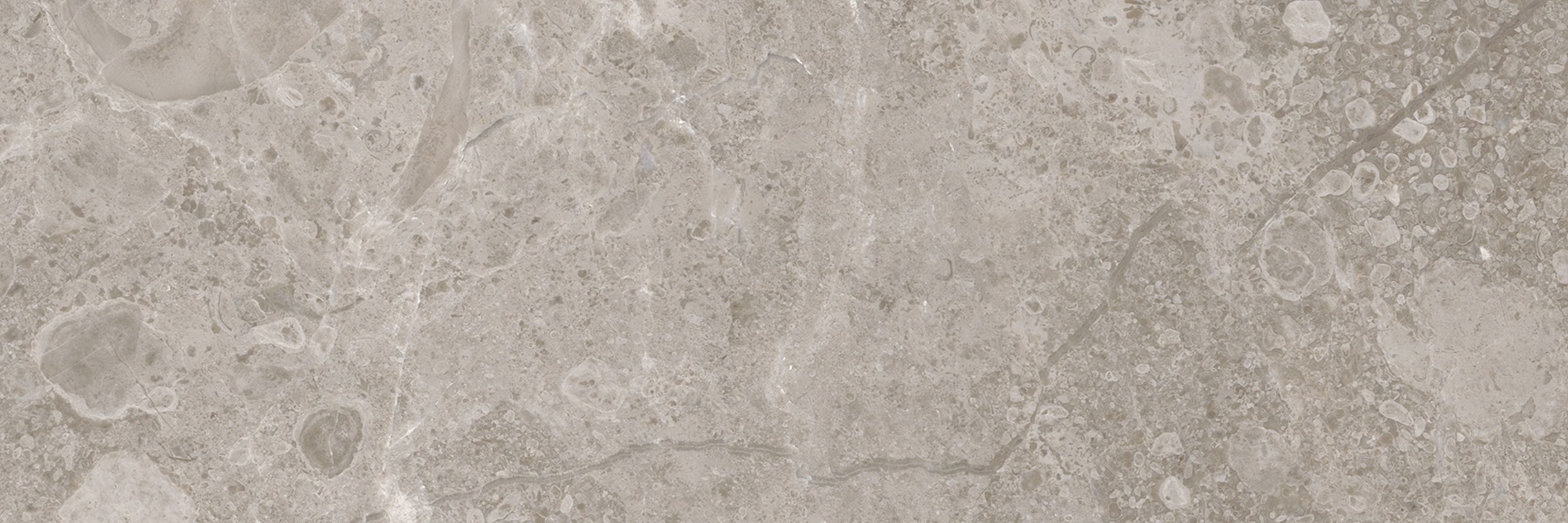 Ritz Gray field tile by Anatolia Tile, top-down product view, 3"×9" size. Premium porcelain for floors and walls.