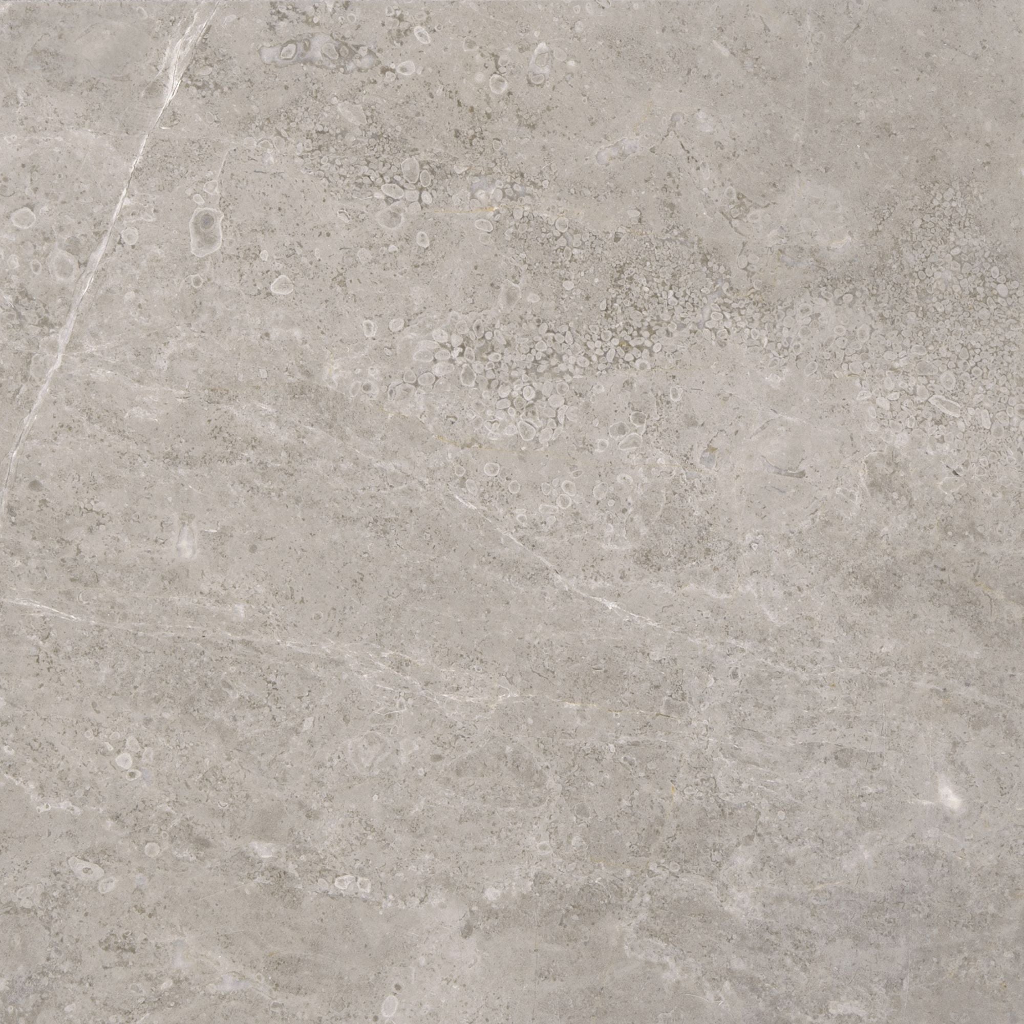 Ritz Gray field tile by Anatolia Tile, top-down product view, 12" size. Premium porcelain for floors and walls.