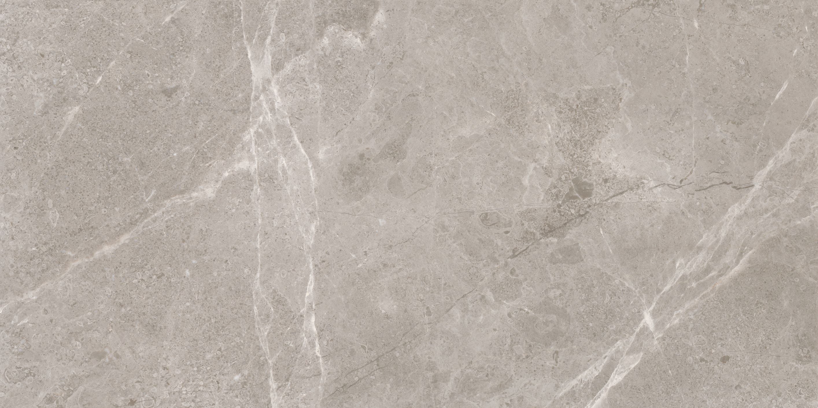Ritz Gray field tile by Anatolia Tile, top-down product view, 18"×36" size. Premium porcelain for floors and walls.