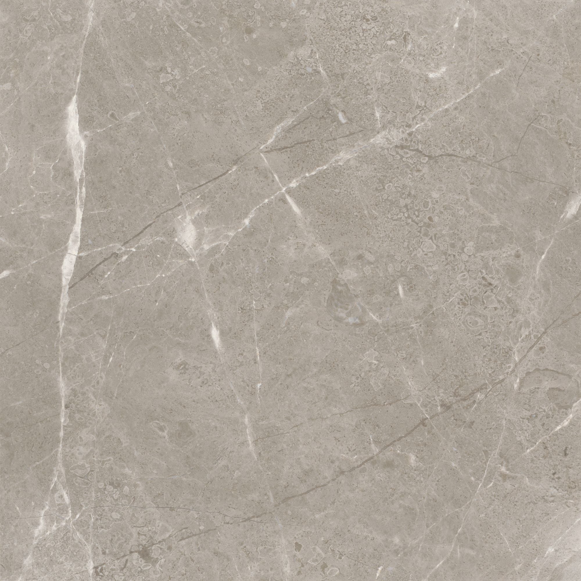 Ritz Gray field tile by Anatolia Tile, top-down product view, 24" size. Premium porcelain for floors and walls.