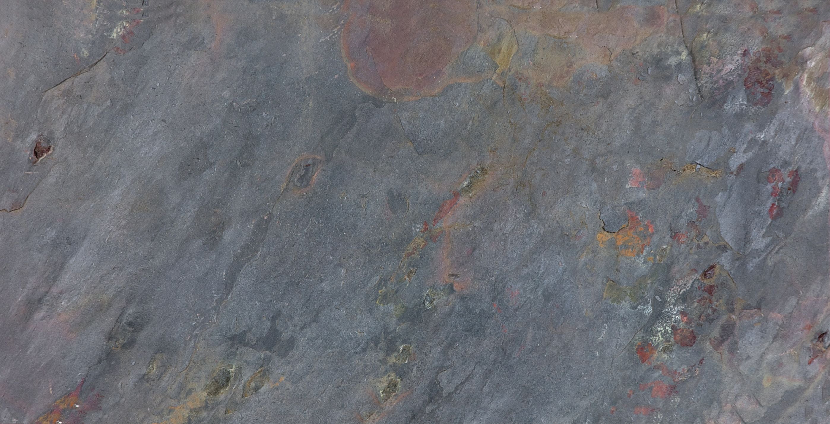 field tile by Anatolia Tile, top-down product view, 8"×16" size. Premium porcelain for floors and walls.