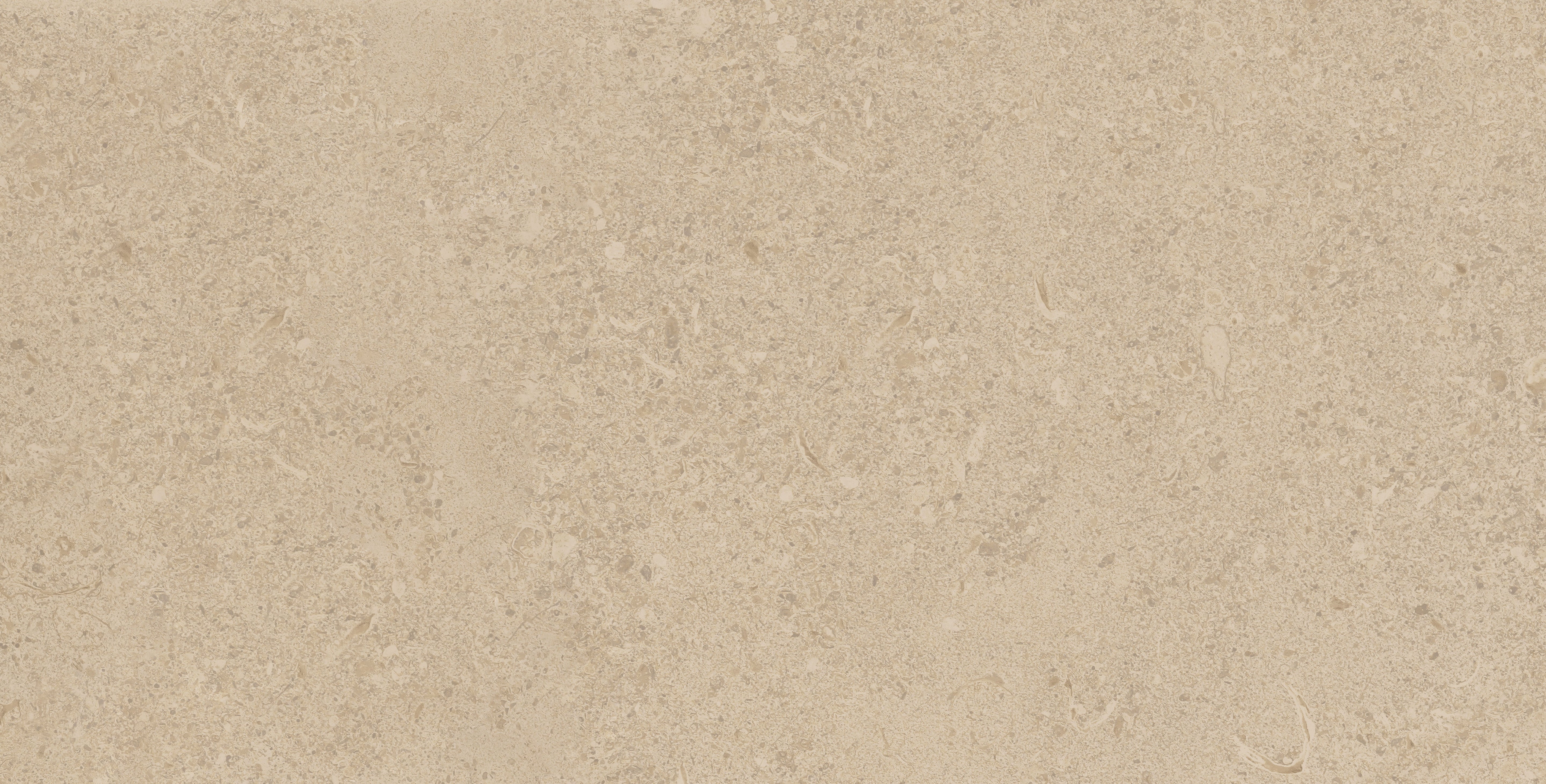 Mood Biscuit porcelain field tile, top-down product view, 12"×24"×11/32" size. Premium porcelain for floors and walls.