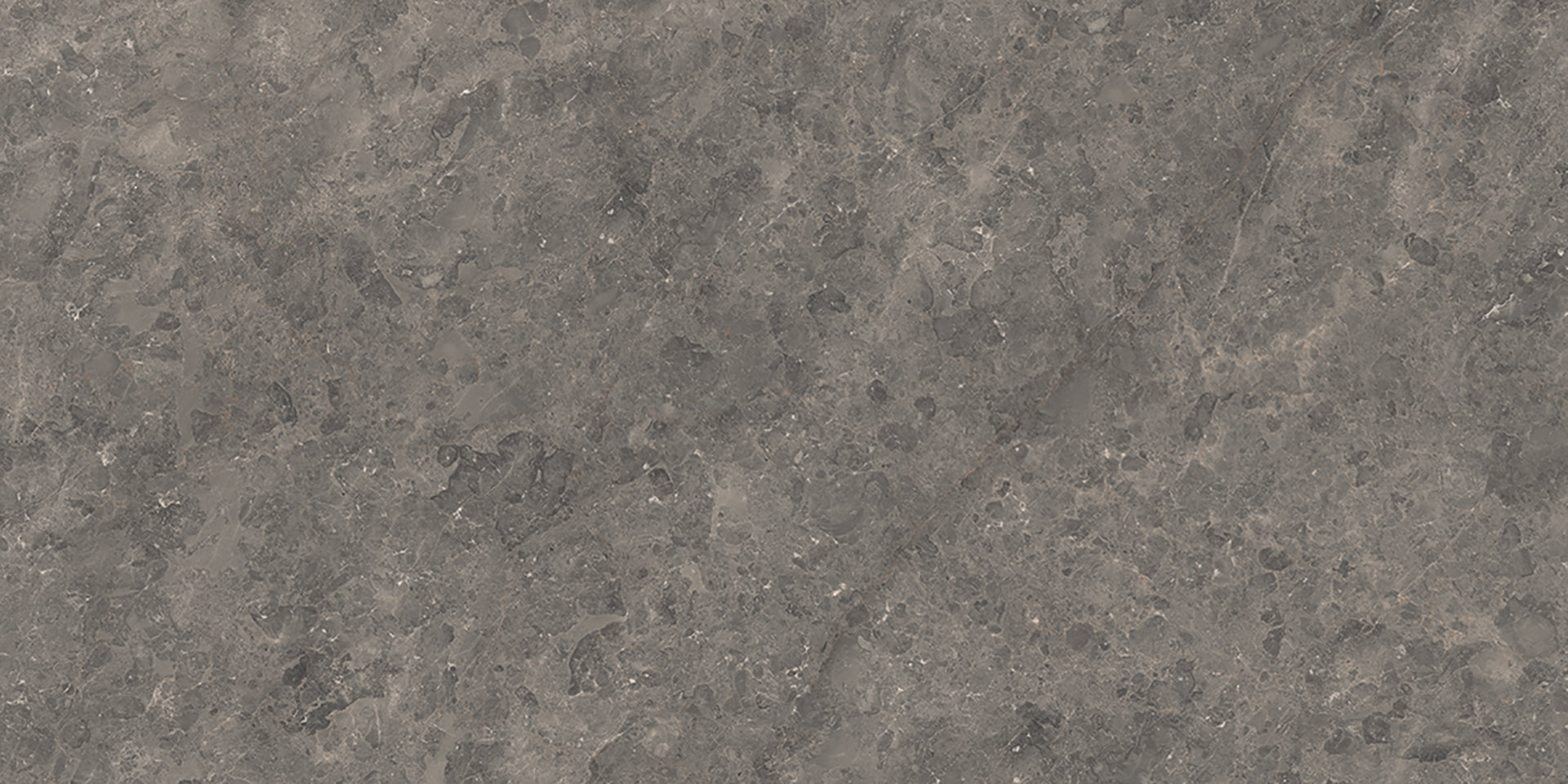 Ergon Slabs USA Gris Du Gent porcelain field tile by Emil, naturale finish, 63 25/32"x127 9/16"x12-mm size. Premium Italian porcelain for floors and walls.
