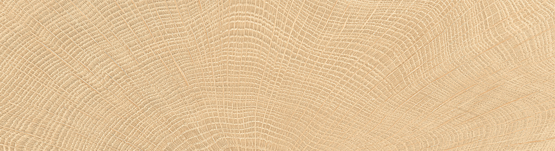 W-Circles Oak porcelain field tile by Emil, naturale finish, 2 1/8"x11 13/16"x9.5-mm size. Premium Italian porcelain for floors and walls.