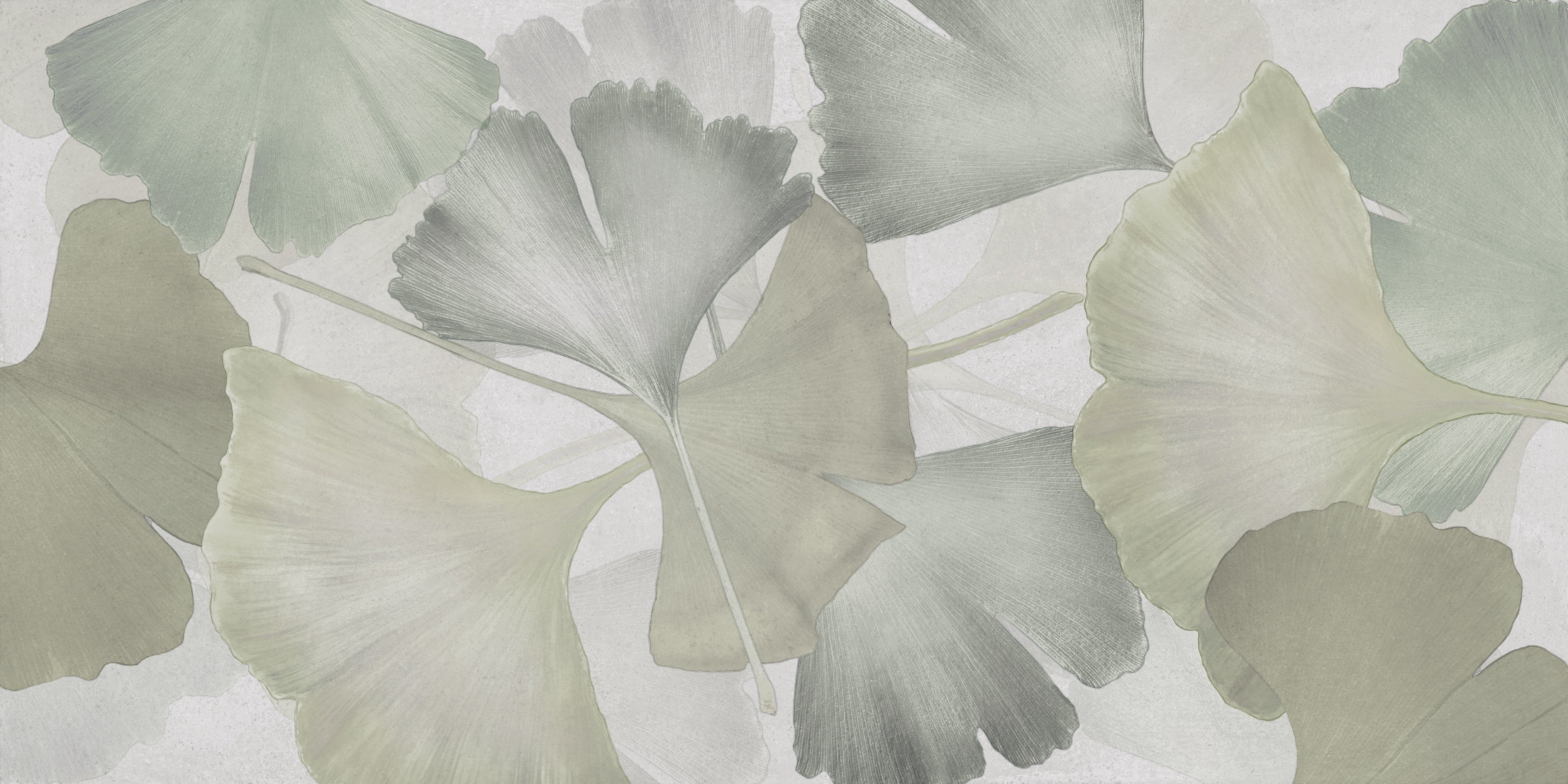 Deco Xl Green Ginkgo porcelain field tile, top-down product view, 24"×48"×11/32" size. Premium porcelain for floors and walls.