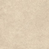LANDSCAPE: Sabbia Porcelain Field Tile (23 5/8"x23 5/8"x9.5-mm | silktech | rectified)