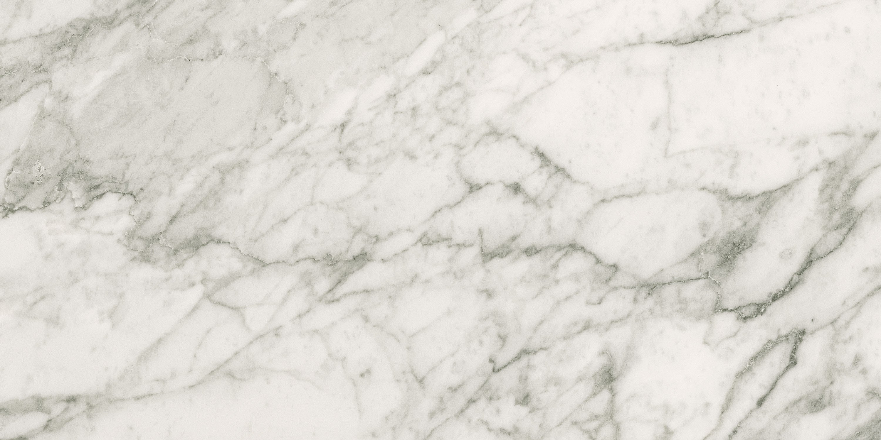 CHARME EVO Renoir Plus porcelain field tile, top-down product view, 12"×24"×11/32" size. Premium porcelain for floors and walls.